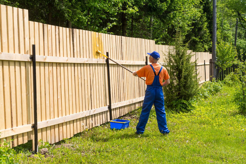 When and Why You Should Repaint Your Fence