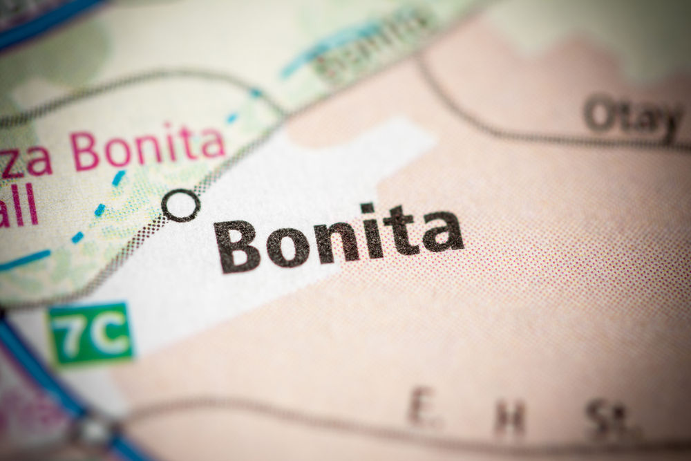 Professional Pressure Washing Services in Bonita