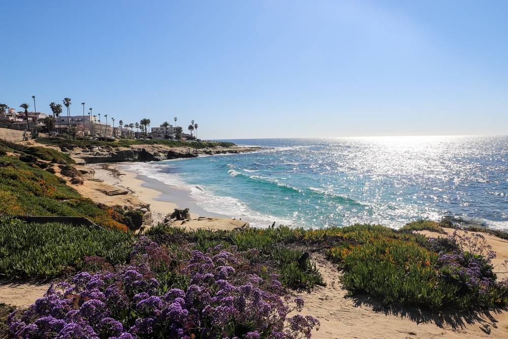 Commercial Painting Services in La Jolla