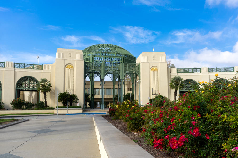 Professional Pressure Washing Services in Escondido